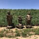 重慶童趣雕塑圖
