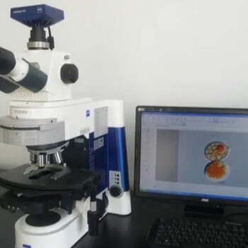 杭州ZEISS扫描显微镜报价