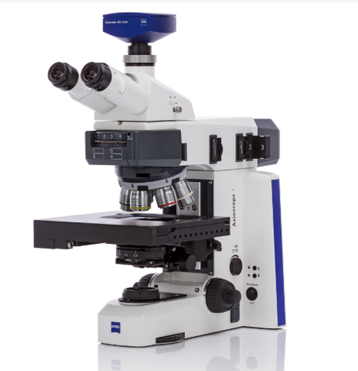 天津ZEISSX射线显微镜多少钱一台