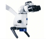 海南ZEISS场发射显微镜市场
