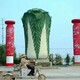 山西仿真大白菜雕塑圖