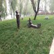 童趣雕塑圖