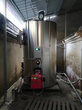 新疆博尔塔拉招商引资项目鸿泰莱锅炉燃烧机热值高