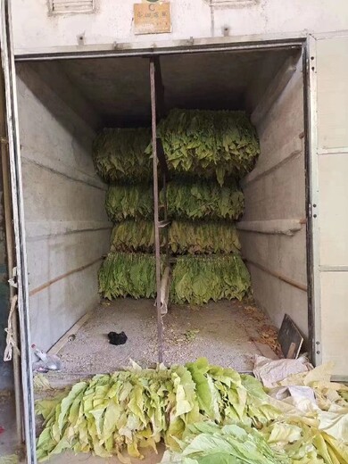 重慶銅梁大型設(shè)備鴻泰萊鍋爐燃燒機(jī)出售