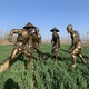 玻璃鋼農耕雕塑圖