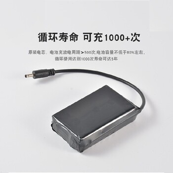 广东省电芯生产厂家绿泊发热电池发热帽子18650锂电池