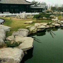 室內(nèi)假山護(hù)岸設(shè)計(jì)圖片