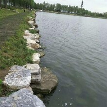 朔州景區(qū)假山護(hù)岸價(jià)格優(yōu)惠圖片