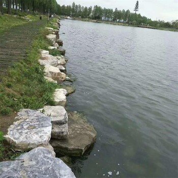 乌海生态园假山河道驳岸工程款式
