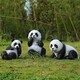 仿真熊貓雕塑圖