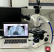 海南蔡司电子显微镜分辨率