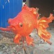 鯉魚躍龍門雕塑圖