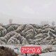 景觀石價格圖