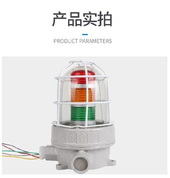 防爆聲光報(bào)警器原理紅黃藍(lán)綠白色12V24V36V220V