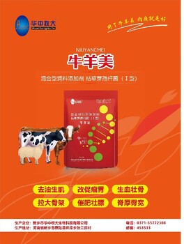 菲腸泰廠家菲腸泰功效功能