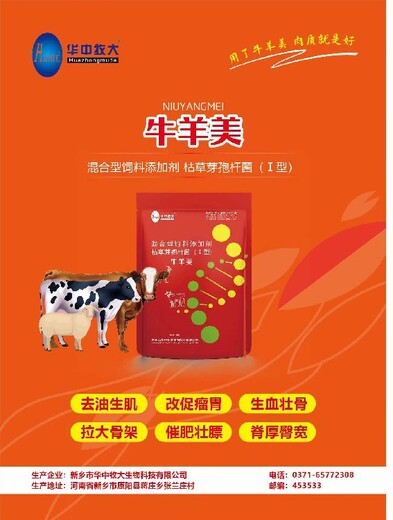 菲腸泰說明書