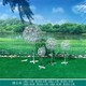 曲陽蒲公英雕塑圖