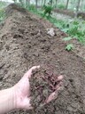 崖州區(qū)生物有機(jī)肥多少錢