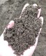 滁州蚯蚓有机肥图