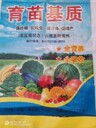 湖北育苗基質(zhì)基質(zhì)育苗