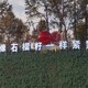 仿真石榴雕塑圖