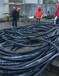 宣城低压电缆回收废旧电缆线