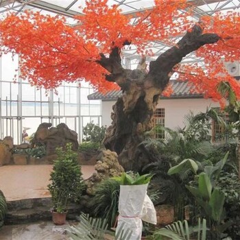 假樹園林景觀假樹造景出售