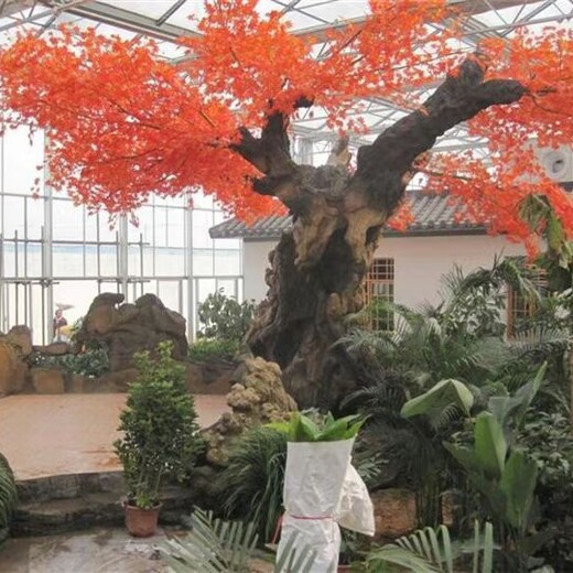 平谷生態(tài)觀光園假樹園林景觀假樹造景報價
