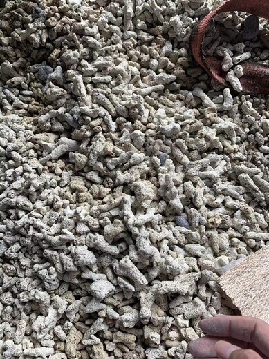 宣城珊瑚砂價格