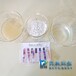 活性氧化鋁除氟濾料CHAP污水除氟藥劑礦泉水廠