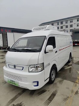 陜汽純電動(dòng)冷藏車廠家純電動(dòng)微型冷藏車