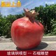 玻璃鋼仿真石榴雕塑圖