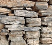济南小型假山石天然石石材批发