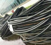 新昌低压电线电缆回收公司
