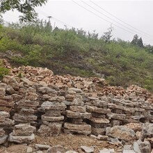 酒泉天然石假山經(jīng)驗(yàn)豐富假山承接圖片