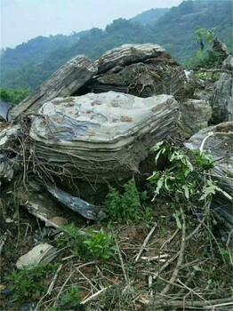 嘉兴商场天然石假山假山承接