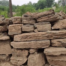 昌吉假山石天然石供應(yīng)假山承接圖片