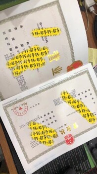 佛山三水河口街代理記賬報(bào)稅需要的資料
