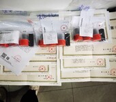 广东中山代理记账报税多少钱