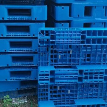洋县废旧塑料托盘回收厂家