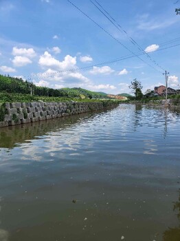 岳阳生态挡土墙