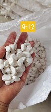 宜昌白色白色水洗石圖片