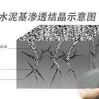 瀘州防水涂料價格