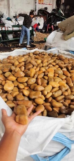 白鵝卵石型號