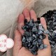 白色瓜米石圖