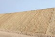 内蒙古锡林郭勒盟稻草毯高速路边坡防护稻草毯厂家电话植物纤维毯