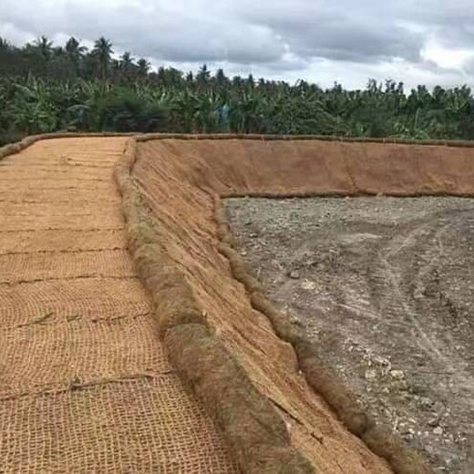 西双版纳椰网生产厂家植物纤维网河道护坡椰网
