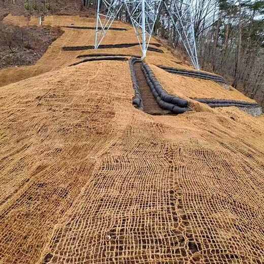 锡林郭勒盟椰网厂家电话植物纤维网高边坡绿化椰网