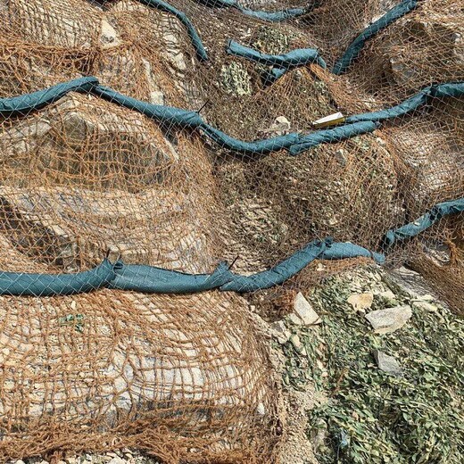 西双版纳椰网厂家椰纤维网边坡冲刷治理椰网