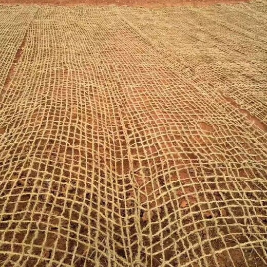 锡林郭勒盟椰网厂家椰纤维网边坡生态治理椰网
